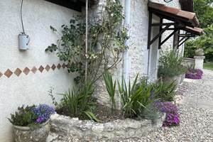 IMG_0522-min