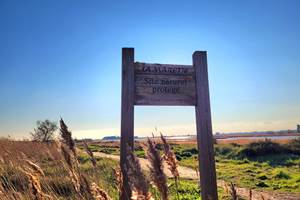 lamarette-4