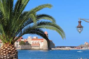 Collioure
