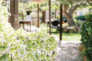 Exterieur jasmin
