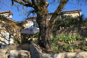 Terrasse du vieux chêne