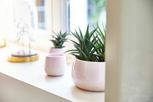 zeyssolff-gites-restau_3022