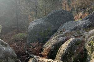 Fontainebleau boulders Apremont