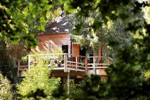 Vue sur la cabane dans les arbres