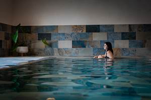 gites-luxe-alsace-nord-karlsmuhle-espace-bien-etre-piscine-sauna-spa-23