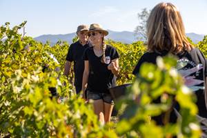 Domaine des Perirecedes BD-0185