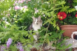 IMG_20200706_112116