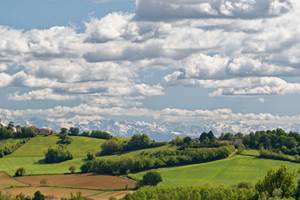 partez sur le Chemin de St Jacques de Compostelle qui vous mènera du Guitou au Village de MONLEZUN en passant à proximité des Ruines du Château