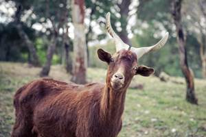 0013_cocody-030 copie