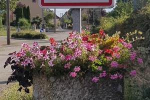 Entrée de Sannat