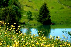 printemps-en-montagne.75288