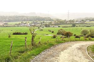 Que de verdure dans la région de Hamoir ce 10 octobre 25