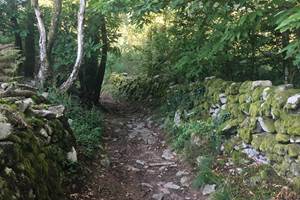 Chemin creux