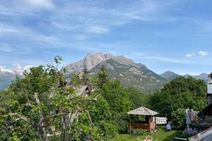 IMG_1881