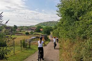 vigne-randonnée-bourgogne-vélo-balade-route des vignes