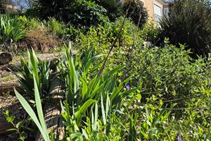 Un coin de jardin