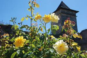 le-chateau-de-pervinquieres-exterieur