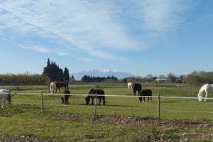 IMG_20250114_113137