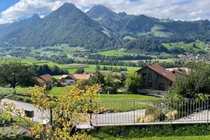 jardin-automne-studio-gruyeres-canton-de-fribourg-vue-montagne-nature
