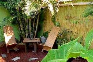 espace-détente-sous-les-palmiers-chambre-dhote-dodo-sale-ambiance-nature.jpg