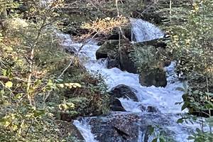 IMG_1140