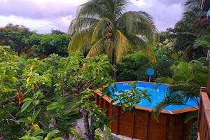 Piscine vue depuis la terrasse du séjour