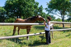 hameau_des_deux_ailes_gite_de_groupe_sarthe