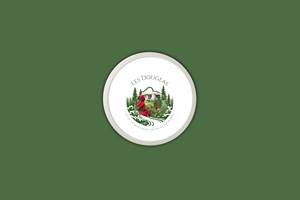 Logo fond vert