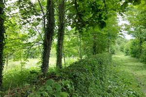 Chemin de promenade autour du gîte, idéal pour profiter du calme, de la verdure et des paysages typiques du Pays des 7 Vallées.