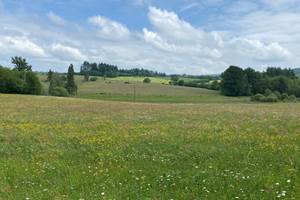 Les terres de la chouette, champs de fleurs sauvages au mois de mai