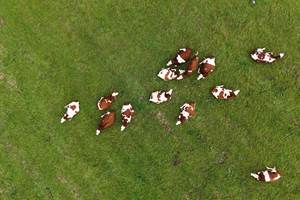 MRO DJI_20240901163313_0224_D