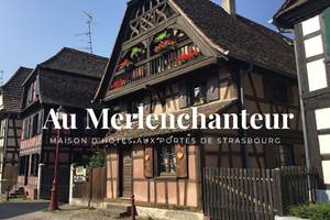 Au Merlenchanteur
