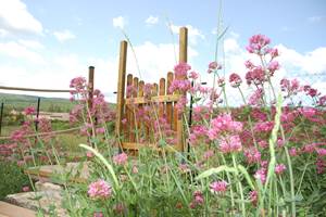Entrée indépendante au Cellier des Amis dans les Alpes de Haute Provence