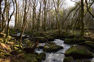 Le ruisseau et les Rochers de l’Isop
