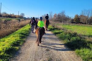 IMG-20250118-WA0011