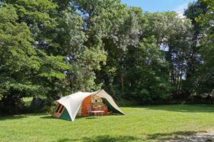 Emplacements ombragés au camping