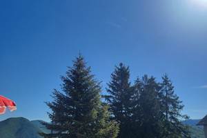 20260521_095317 (1)