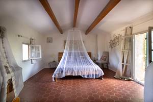 Domaine des Peirecedes-0246