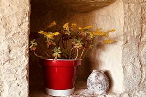 Niche mur de pierres_La Cavalerie