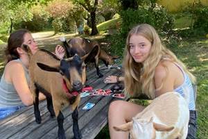 les chevreaux en liberté dans le jardin