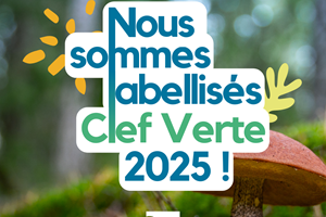 Nous sommes éco-responsable