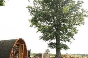 La_Prehouillere-CP-Pascal_BELTRAMI_-_Mayenne_Tourisme-10048-800px