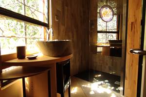 la-tour-des-touches-gite-savonnieres-salle d'eau douche