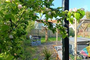 jardin decor végétal privatif et clôturé