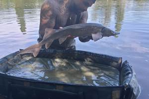 IMG_20250622_163302 (1)