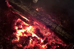 Feu de bois pour chamallows
