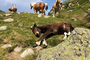 E689D516-A6AA-4239-8A3C-2CB05C17F959