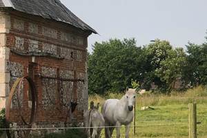 #ClosSaintJoseph_Hans et Balthazar