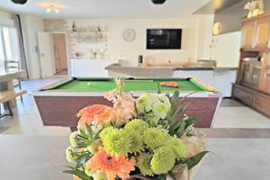 billard-pièce-commune