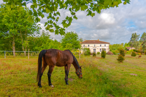 Domaine Terroceane